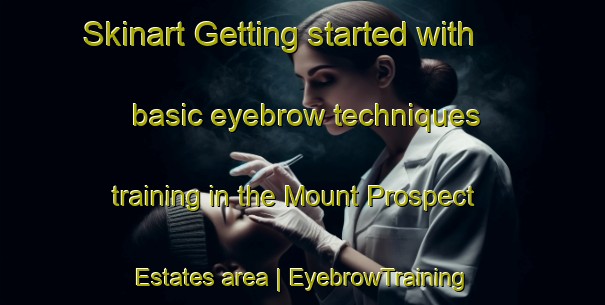 Skinart Getting started with basic eyebrow techniques training in the Mount Prospect Estates area | EyebrowTraining | EyebrowClasses | SkinartTraining-United States